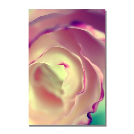 Trademark Fine Art Beata Czyzowska Young 'Flavors of Summer' Canvas Art, 30x47 BC0005-C3047GG